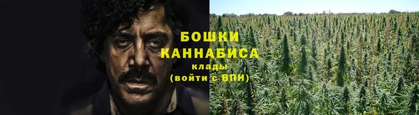 2c-b Лиски