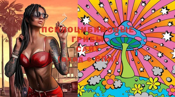 2c-b Лиски