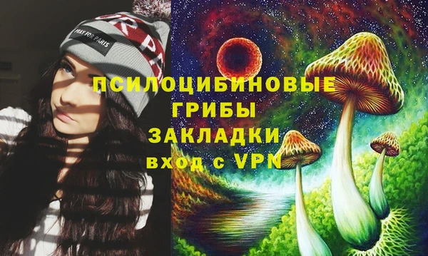 2c-b Лиски