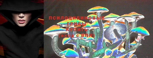 Альфа ПВП Липки