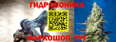 прущие крисы Бийск