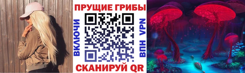 Галлюциногенные грибы Psilocybine cubensis  Шебекино 