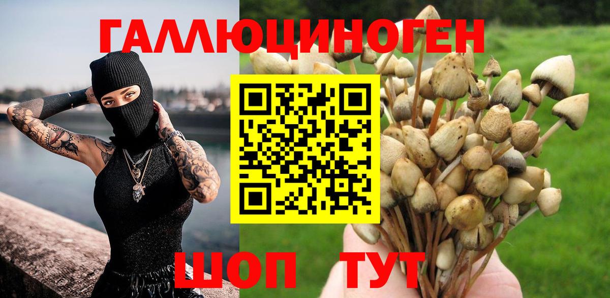 Псилоцибиновые грибы Cubensis  цены   Шебекино 