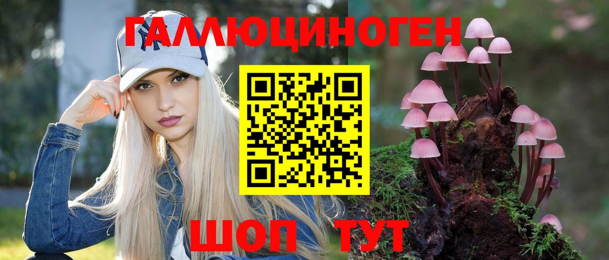 Шебекино  Псилоцибиновые грибы GOLDEN TEACHER  Вход с VPN 