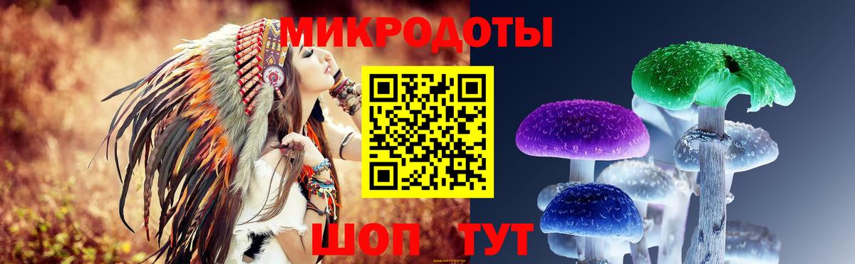 Псилоцибиновые грибы MAGIC MUSHROOMS Шебекино